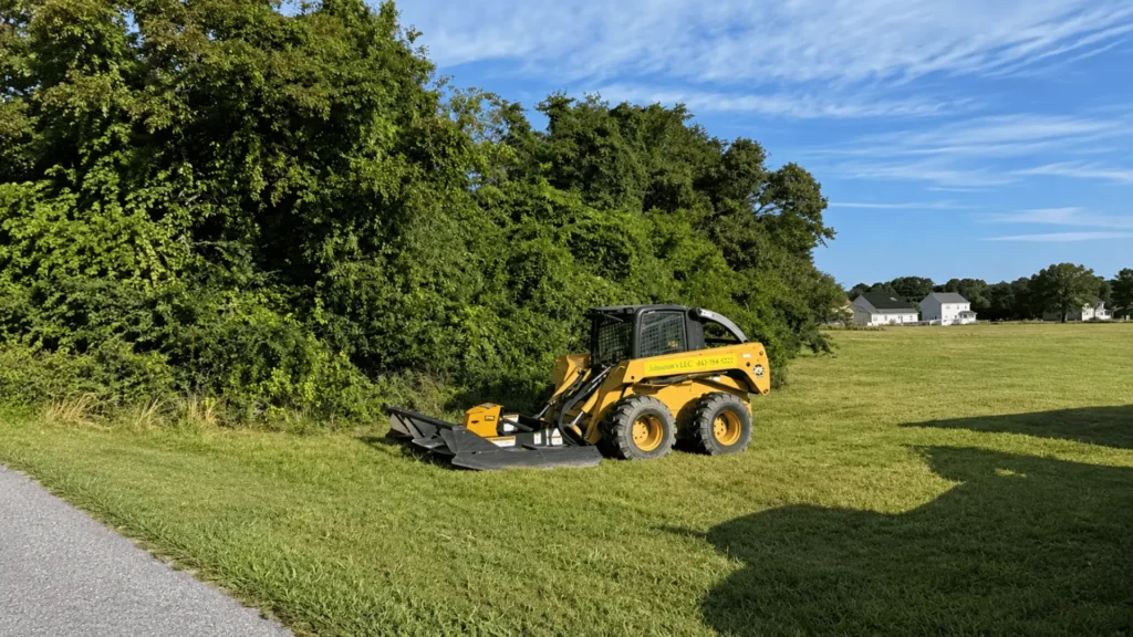 Skid steer brush cutting an overgrown field on the Delmarva Peninsula