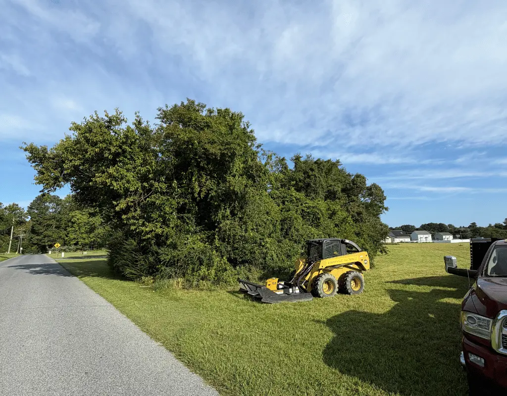 Skid steer with a brush cutter parked beside an overgrown tree line on the Delmarva Peninsula