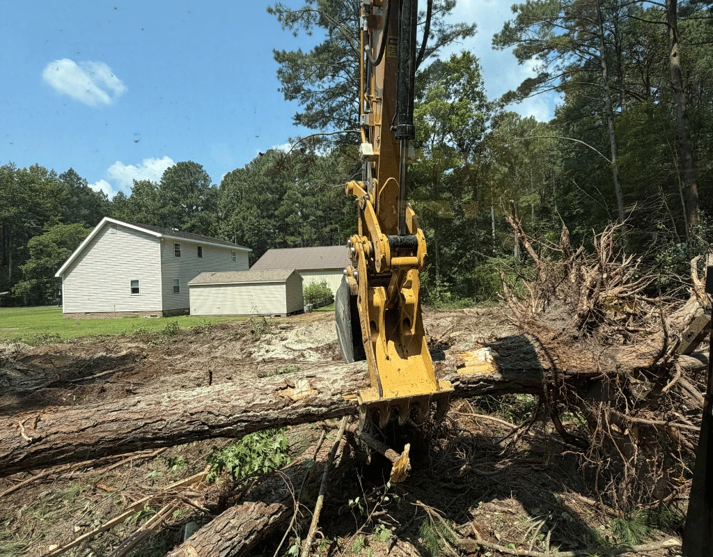 Excavator thumb gripping a downed pine and root ball beside a house on the Delmarva Peninsula